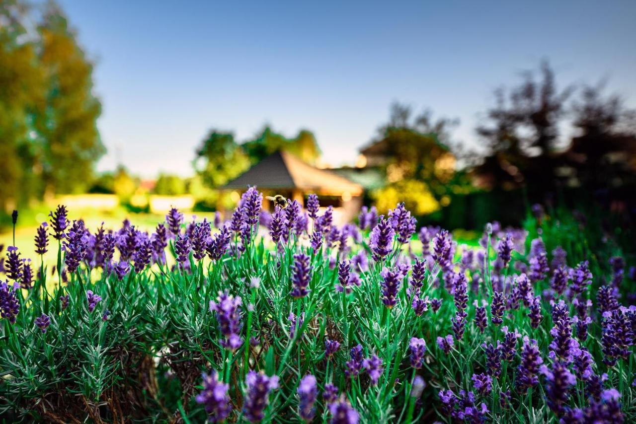 Villa Natura Zator Przeciszow Dış mekan fotoğraf